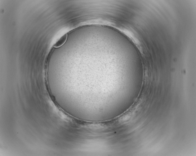 X0000088610998200706151822