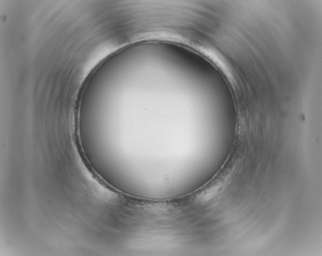 X0000088610999200706151822