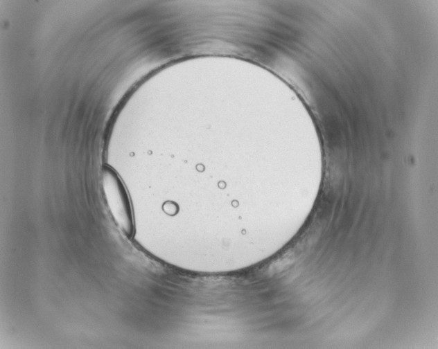 X0000088611000200706151822