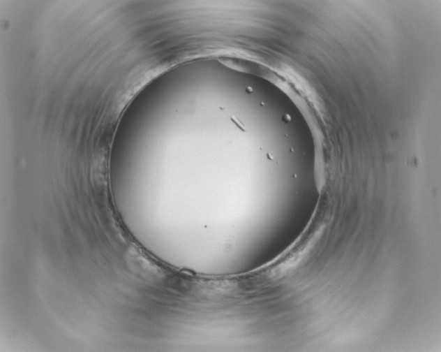 X0000088611001200706151822