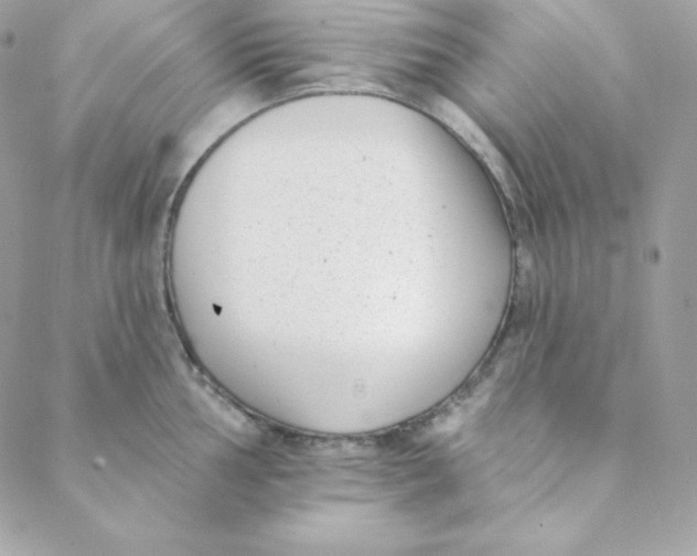 X0000088611002200706151822