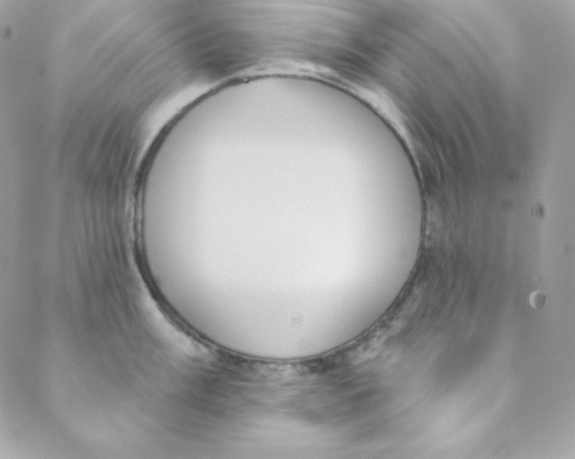 X0000088611003200706151822