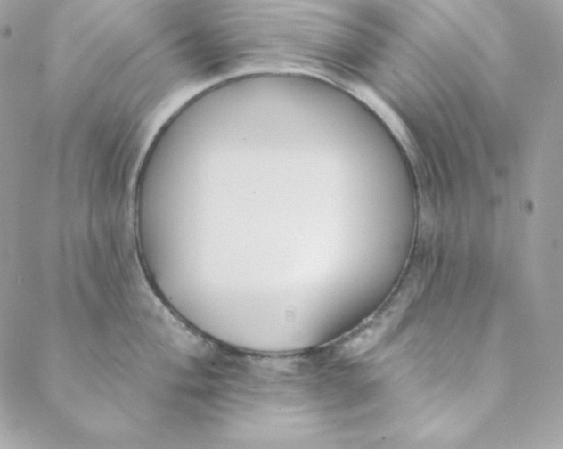 X0000088611004200706151822