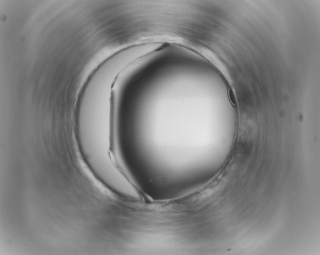 X0000088611005200706151822