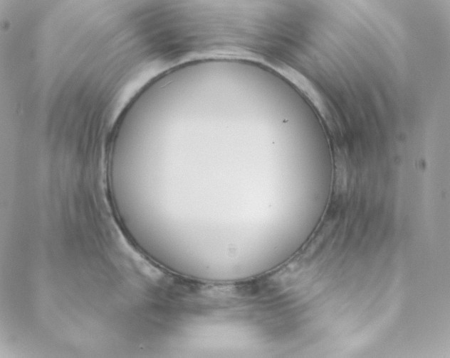 X0000088611006200706151822