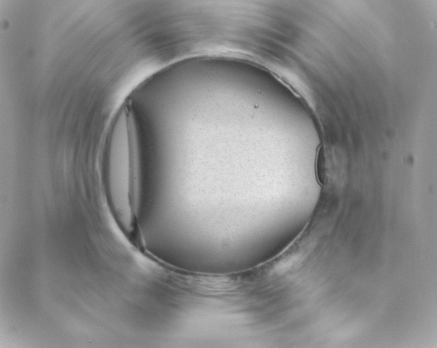 X0000088611007200706151822