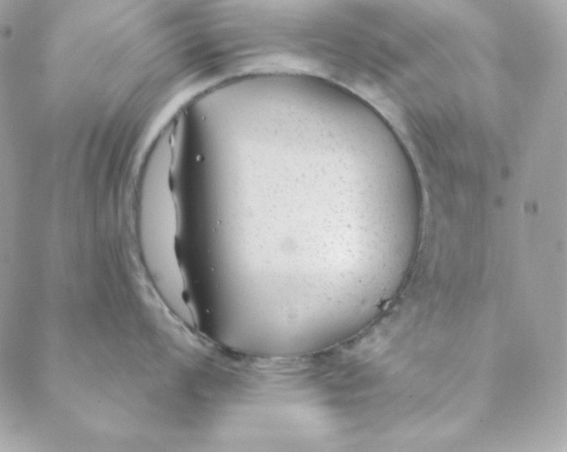 X0000088611008200706151822