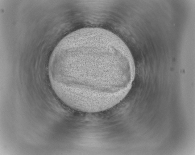 X0000088611009200706151821