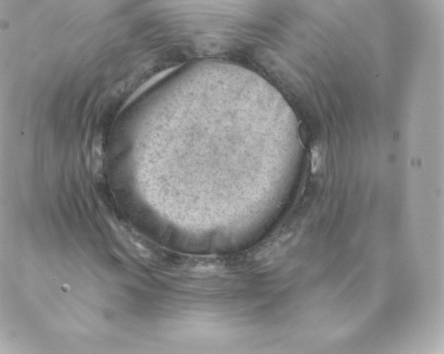 X0000088611011200706151821