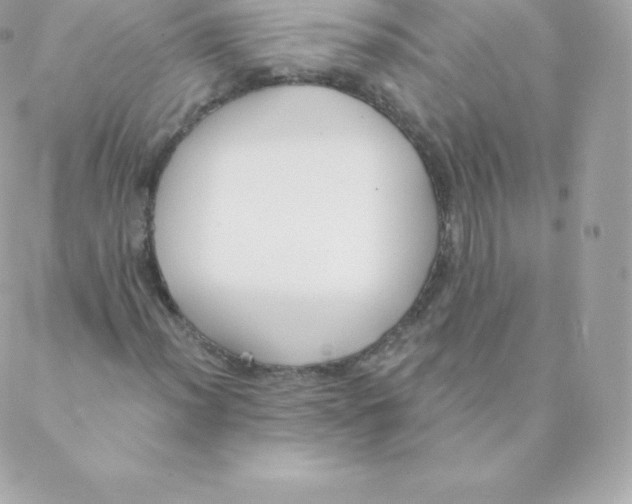 X0000088611012200706151821