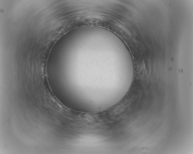 X0000088611013200706151821