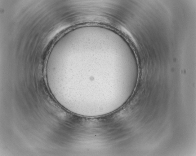 X0000088611019200706151821