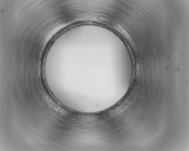 X0000088611020200706151821