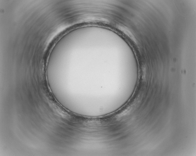 X0000088611021200706151821