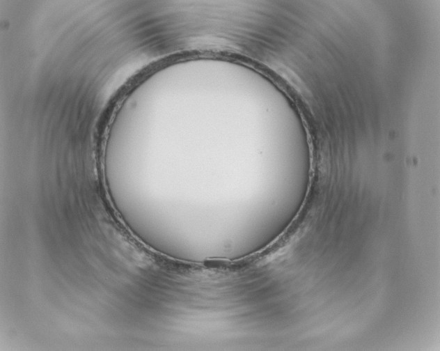 X0000088611022200706151821