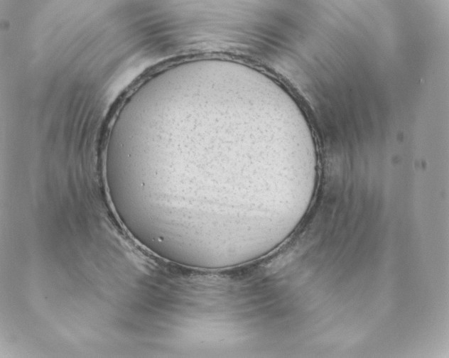 X0000088611023200706151821