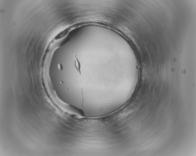 X0000088611024200706151821