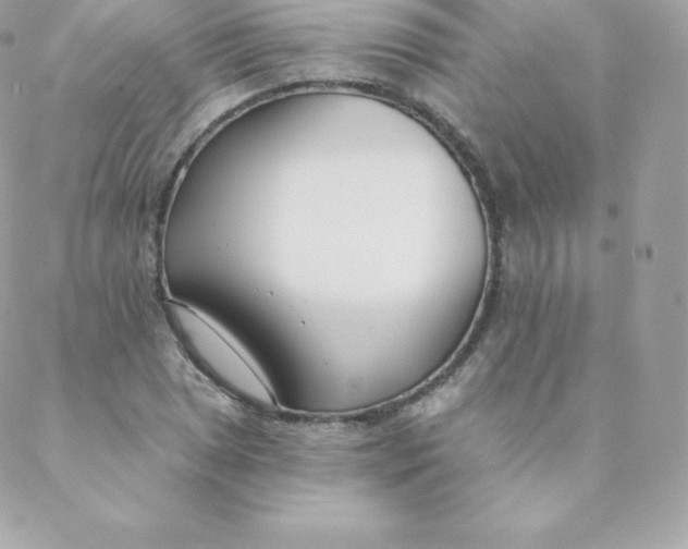 X0000088611025200706151821