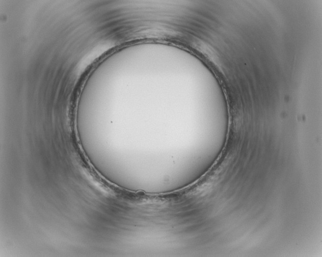 X0000088611026200706151821