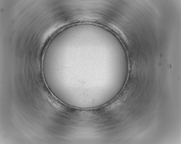 X0000088611027200706151821