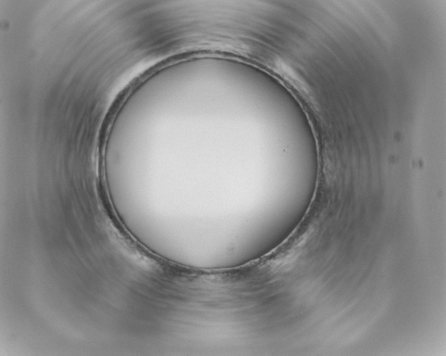 X0000088611028200706151821