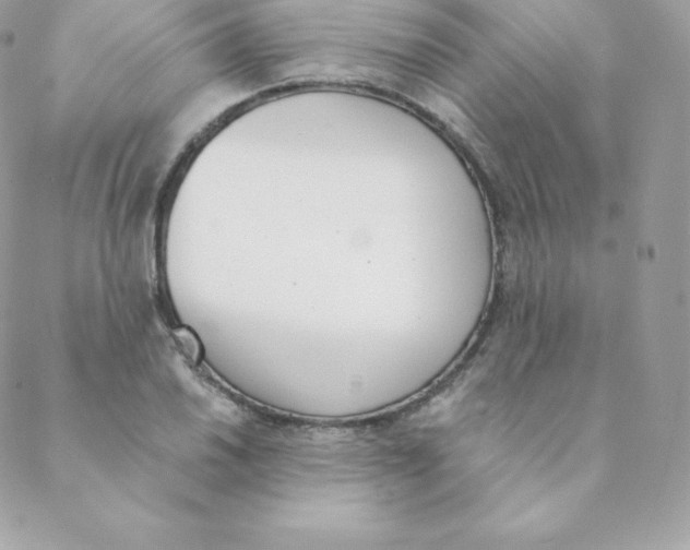 X0000088611030200706151822