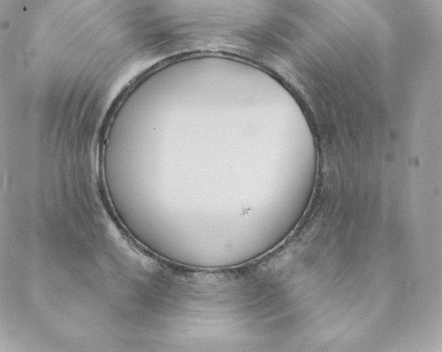 X0000088611032200706151822