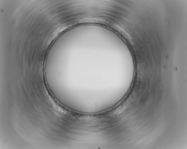 X0000088611033200706151822