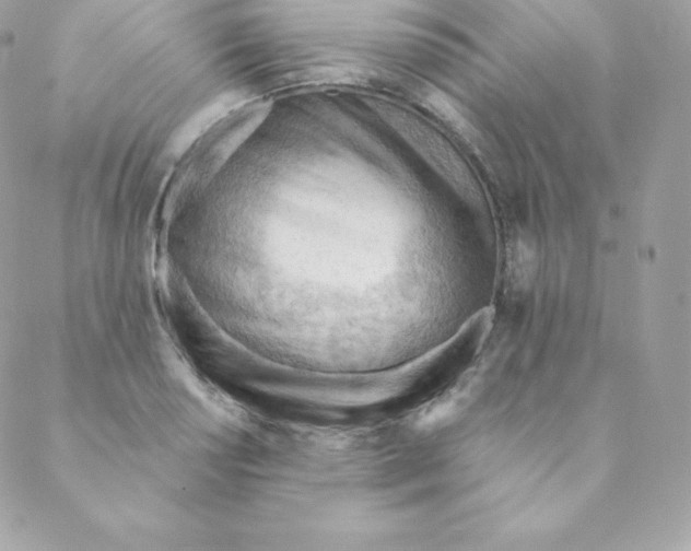 X0000088611034200706151822