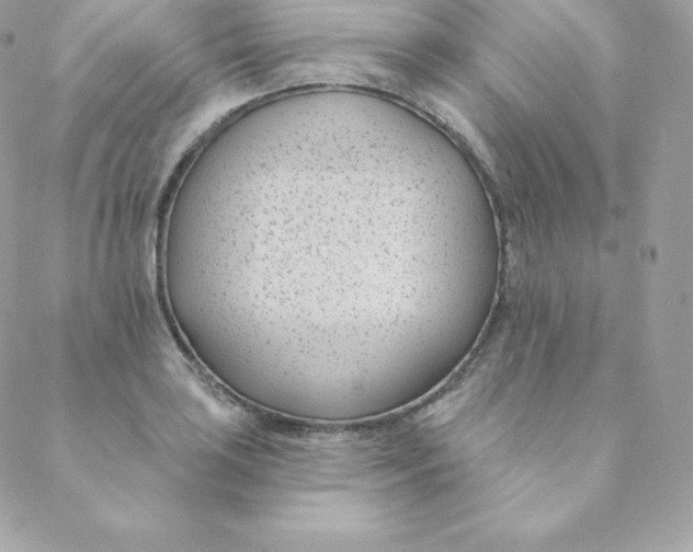 X0000088611035200706151822