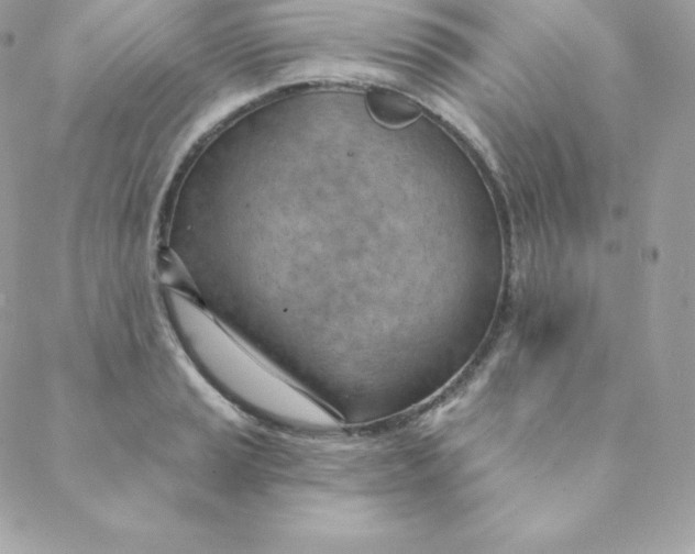 X0000088611037200706151822