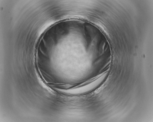 X0000088611038200706151822