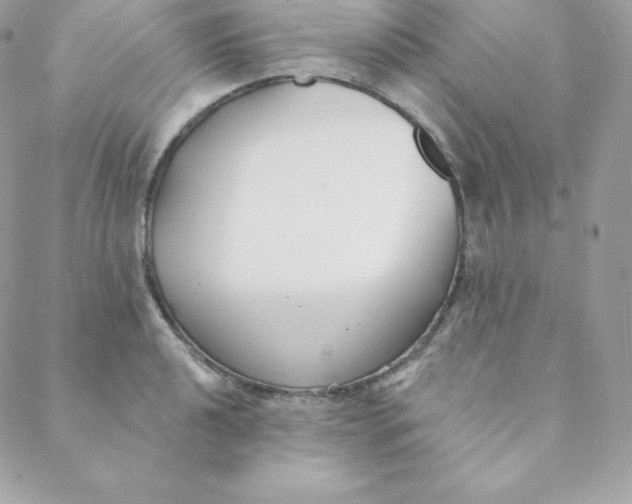 X0000088611040200706151822