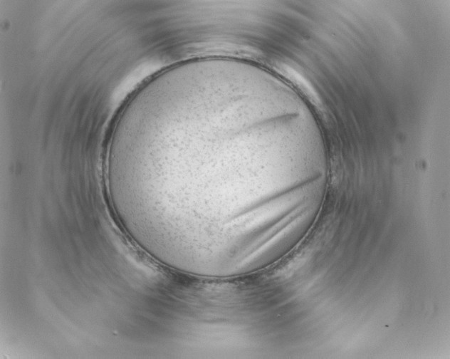 X0000088611043200706151822