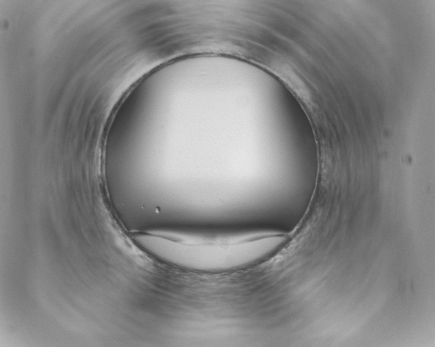 X0000088611044200706151822