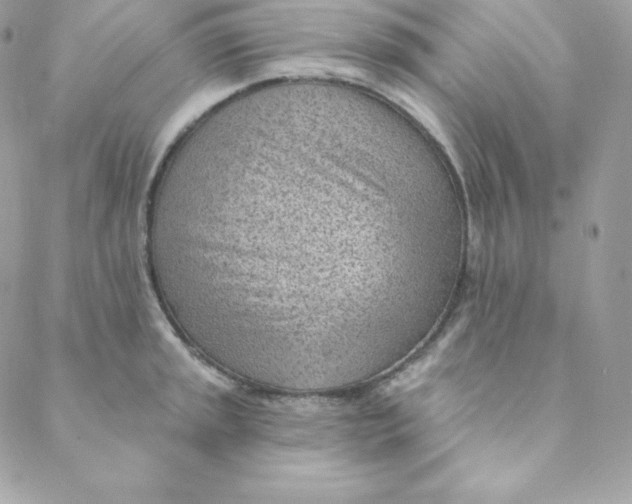 X0000088611045200706151822