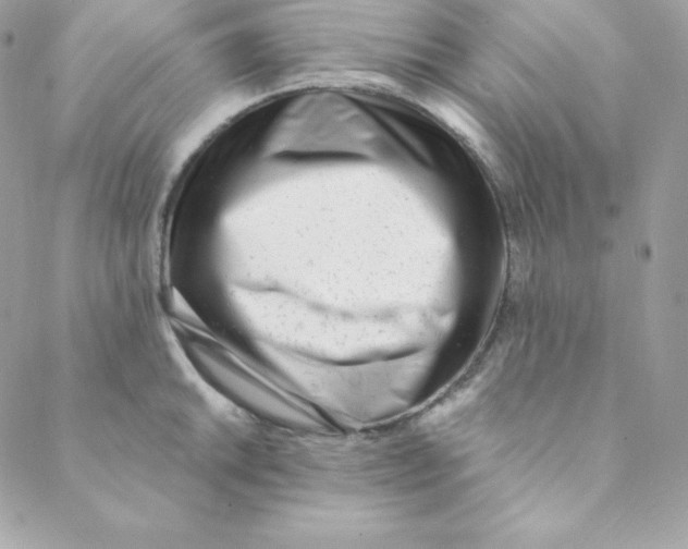 X0000088611046200706151822