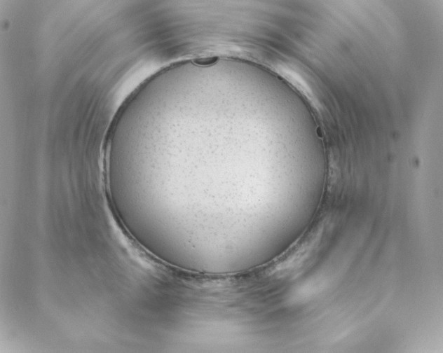 X0000088611047200706151822