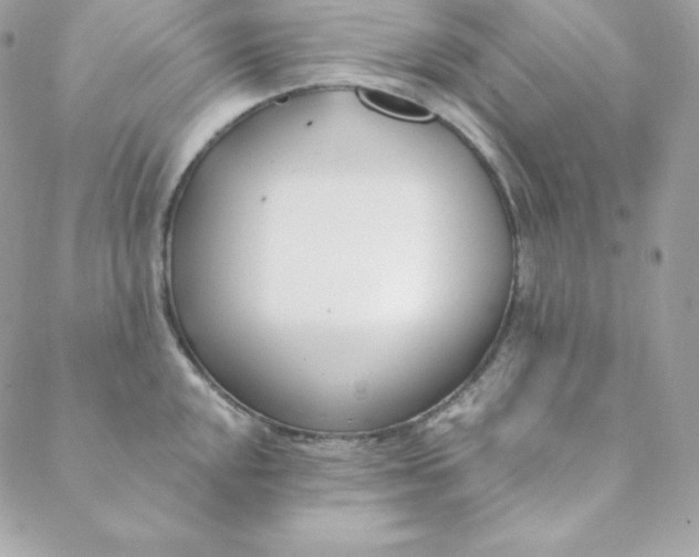 X0000088611048200706151822