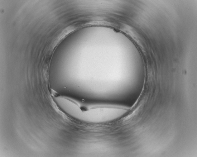 X0000088611049200706151822