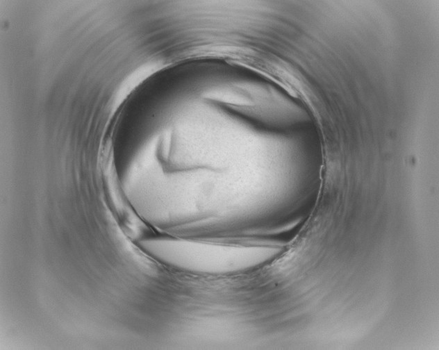 X0000088611050200706151822