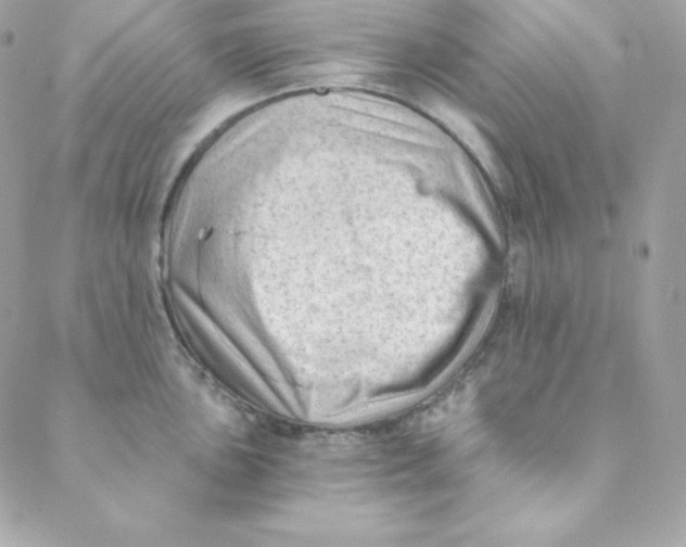 X0000088611051200706151822