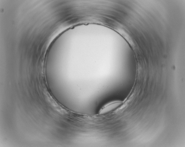 X0000088611052200706151822