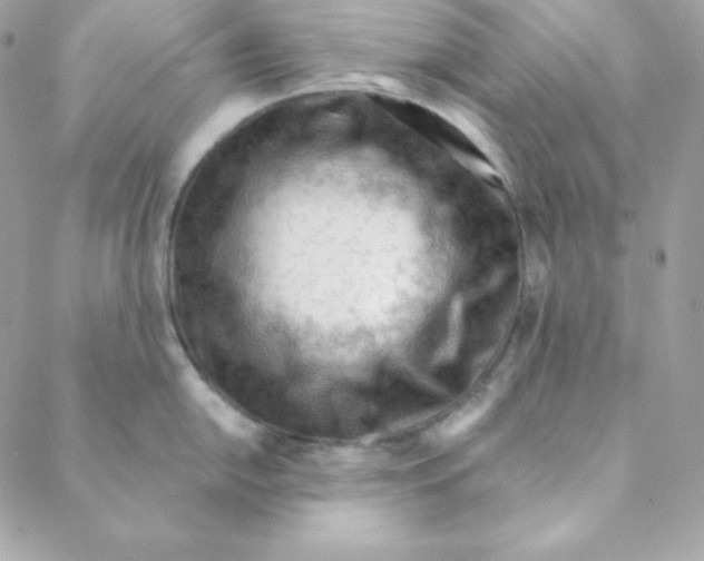 X0000088611054200706151822