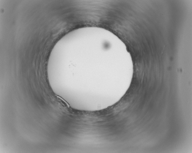 X0000088611057200706151821