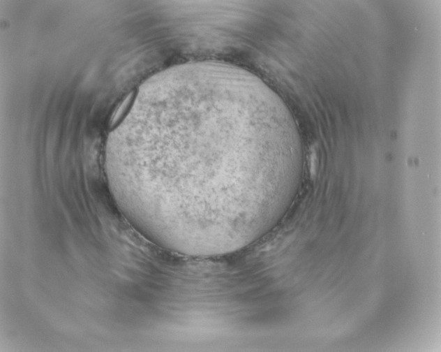 X0000088611059200706151821