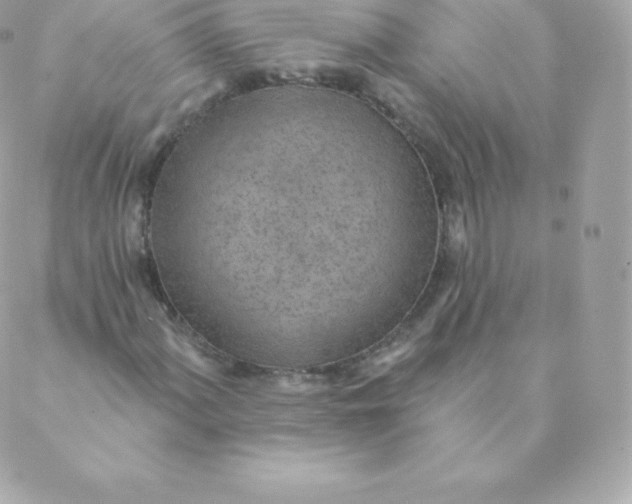 X0000088611060200706151821