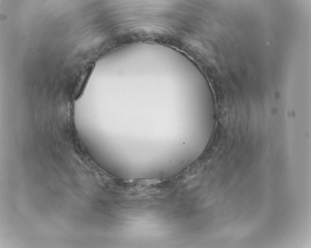 X0000088611061200706151821