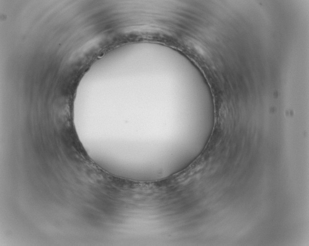 X0000088611062200706151821