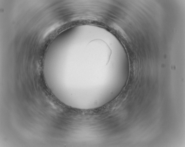 X0000088611064200706151821